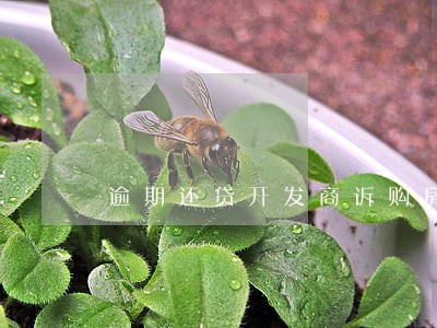 逾期还贷开发商诉购房者诉状 逾期还贷开发商诉购房者诉状
