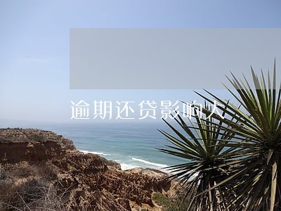 逾期还贷影响大 逾期还贷影响大