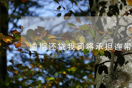 逾期还贷我司将承担连带责任 逾期还贷我司将承担连带责任
