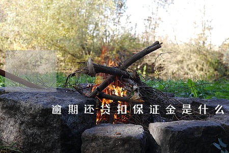 逾期还贷扣保证金是什么钱 逾期还贷扣保证金是什么钱