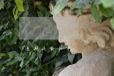 逾期还贷扣车 逾期还贷扣车