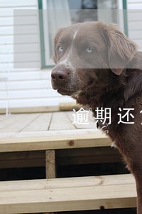 逾期还贷无法买房申请贷款 逾期还贷无法买房申请贷款