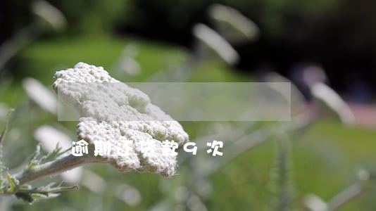 逾期还贷款9次 逾期还贷款9次
