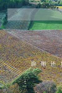 逾期还贷款会怎样 逾期还贷款会怎样