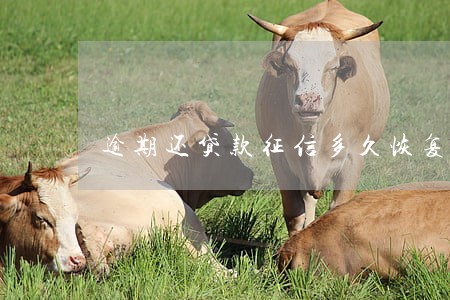逾期还贷款征信多久恢复 逾期还贷款征信多久恢复
