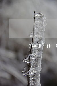 逾期还贷正确处理方案 逾期还贷正确处理方案
