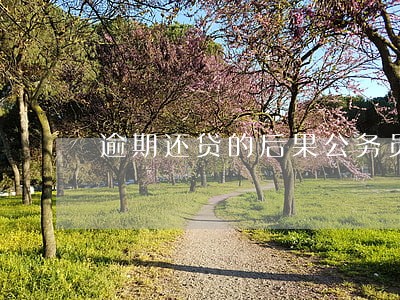 逾期还贷的后果公务员 逾期还贷的后果公务员