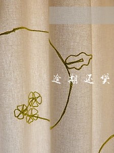 逾期还贷的房子再贷款
