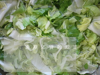 逾期还贷的规定 逾期还贷的规定