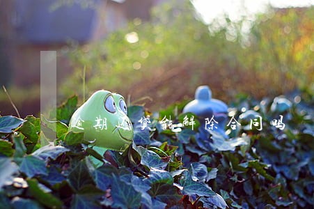 逾期还贷能解除合同吗 逾期还贷能解除合同吗