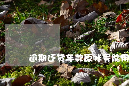 逾期还贷车款原帐号能用吗 逾期还贷车款原帐号能用吗