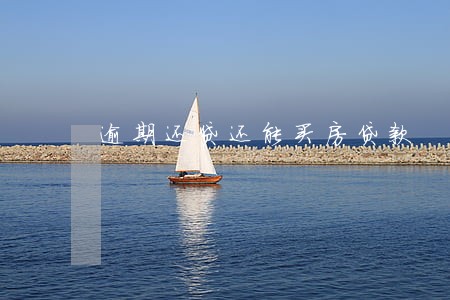 逾期还贷还能买房贷款 逾期还贷还能买房贷款