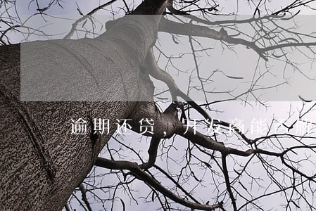 逾期还贷，开发商能否解除合同
