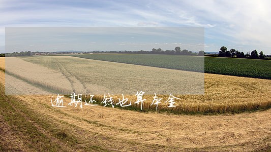 逾期还钱也算本金