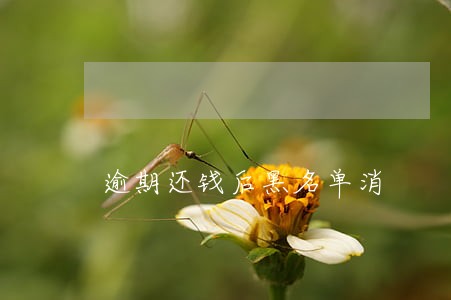 逾期还钱后黑名单消 逾期还钱后黑名单消