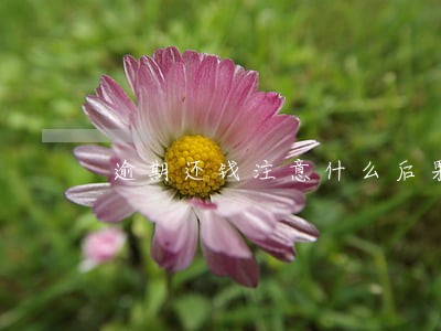 逾期还钱注意什么后果 逾期还钱注意什么后果