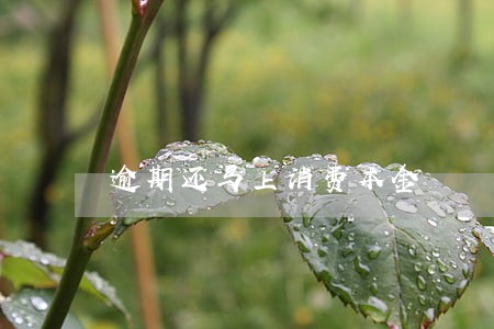 逾期还马上消费本金 逾期还马上消费本金