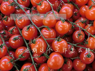 逾期这个工作怎么样