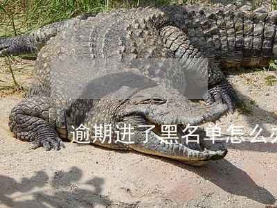 逾期进了黑名单怎么办