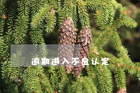 逾期进入不良认定 逾期进入不良认定