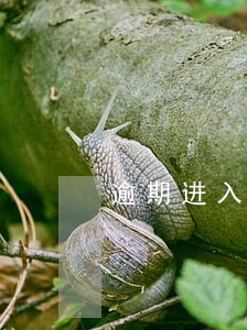 逾期进入多久消除