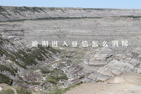 逾期进入征信怎么消除