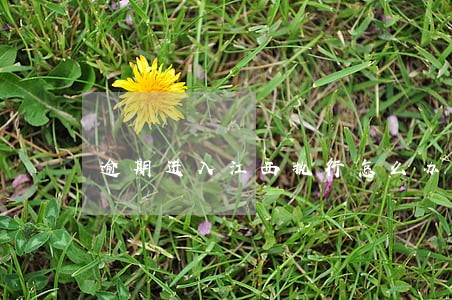 逾期进入江西执行怎么办