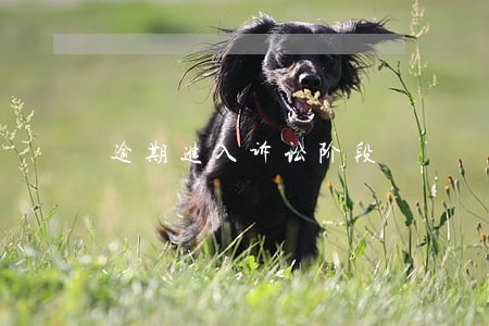 逾期进入诉讼阶段