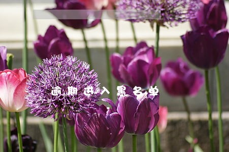 逾期进入黑名单