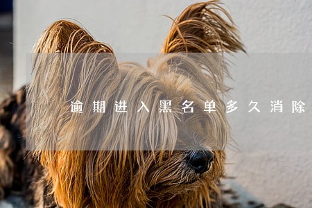 逾期进入黑名单多久消除