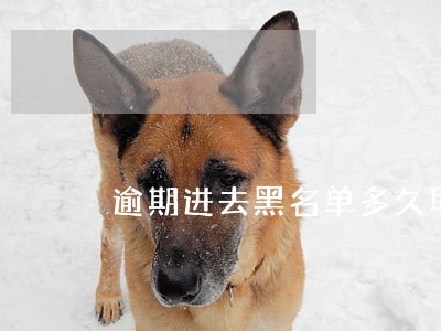 逾期进去黑名单多久取消