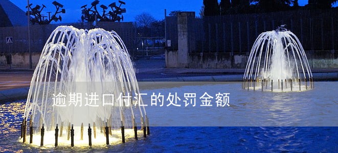 逾期进口付汇的处罚金额 逾期进口付汇的处罚金额