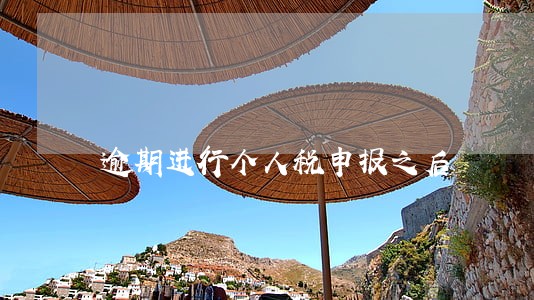 逾期进行个人税申报之后 逾期进行个人税申报之后
