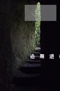 逾期进行存款账户账号报告 逾期进行存款账户账号报告