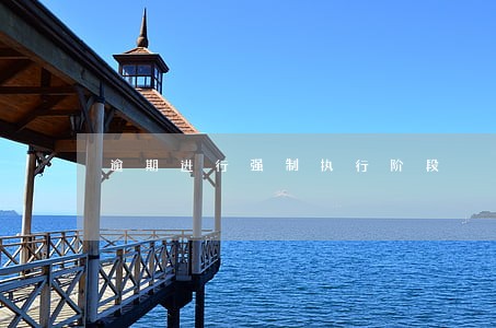 逾期进行强制执行阶段 逾期进行强制执行阶段