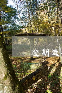 逾期进行纳税申报是否要处罚 逾期进行纳税申报是否要处罚
