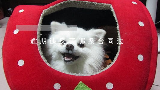 逾期违反了哪条合同法 逾期违反了哪条合同法