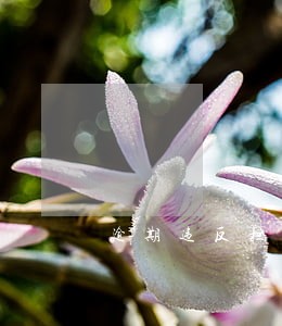 逾期违反担保法哪条 逾期违反担保法哪条