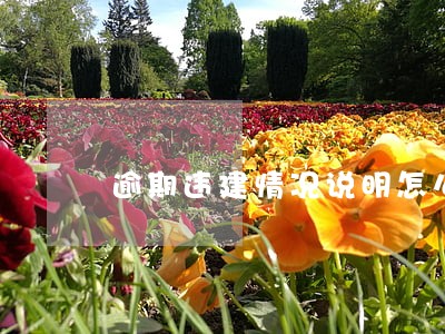 逾期违建情况说明怎么写 逾期违建情况说明怎么写