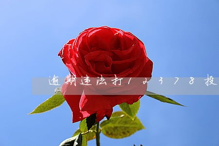 逾期违法打12378投诉 逾期违法打12378投诉