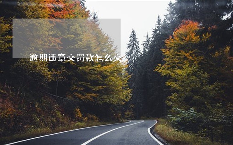 逾期违章交罚款怎么交 逾期违章交罚款怎么交