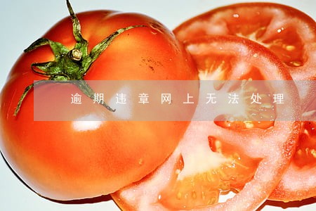 逾期违章网上无法处理 逾期违章网上无法处理