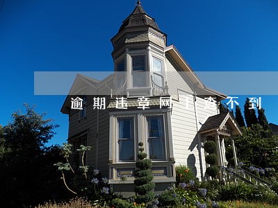 逾期违章网上查不到 逾期违章网上查不到
