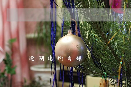 逾期违约交楼 逾期违约交楼