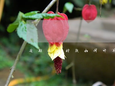 逾期违约付款如何计算违约利息 逾期违约付款如何计算违约利息