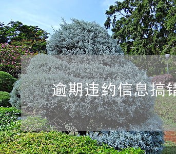 逾期违约信息搞错了 逾期违约信息搞错了