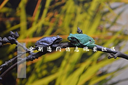 逾期违约信息概要担保 逾期违约信息概要担保