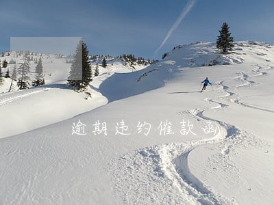 逾期违约催款函
