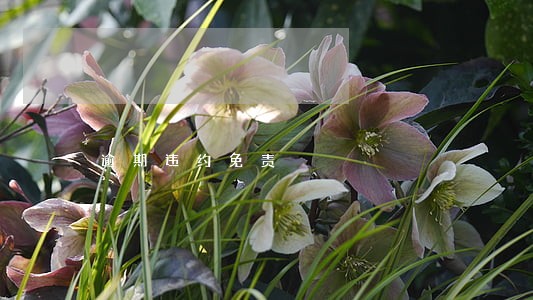 逾期违约免责 逾期违约免责