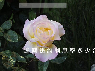 逾期违约利息率多少合适 逾期违约利息率多少合适